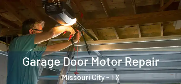  Garage Door Motor Repair Missouri City - TX