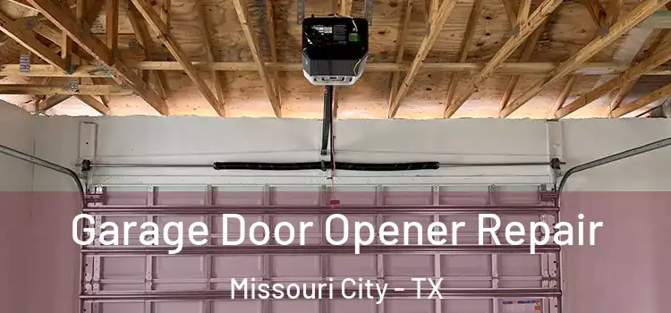  Garage Door Opener Repair Missouri City - TX