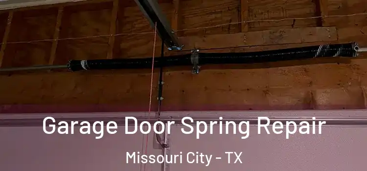  Garage Door Spring Repair Missouri City - TX