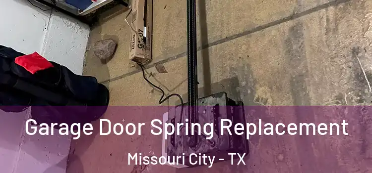  Garage Door Spring Replacement Missouri City - TX