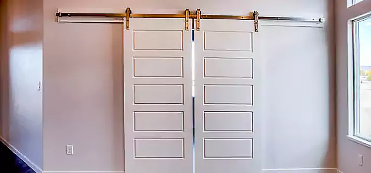 Glass Barn Door with Installation Hardware Kit Missouri City
