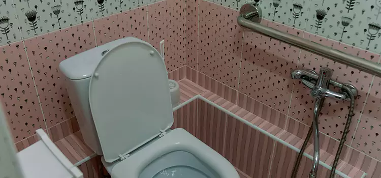 Meeting Diverse Needs With Accessible Restroom Solutions in Missouri City, TX